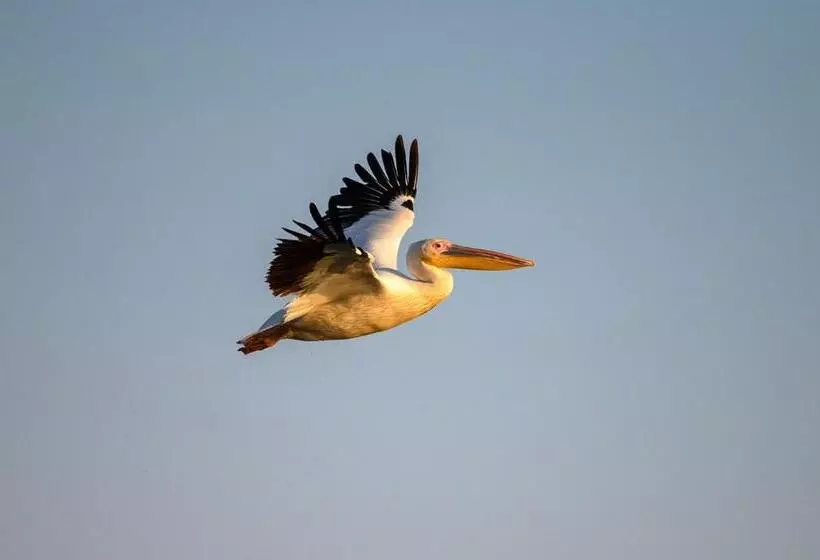 Danube Delta Hostel Homestay & Camping