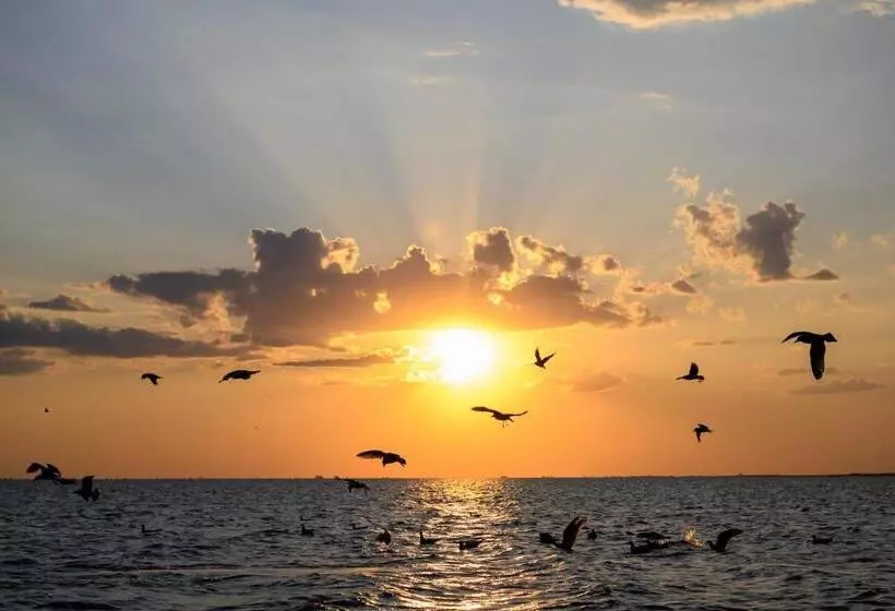 Danube Delta Hostel Homestay & Camping