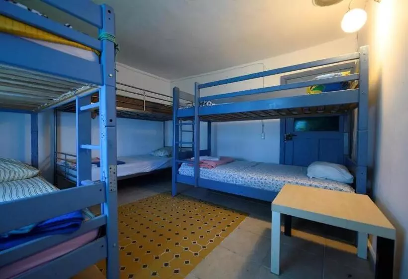 Danube Delta Hostel Homestay & Camping