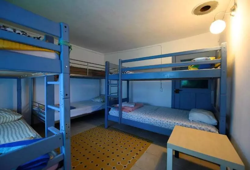 Danube Delta Hostel Homestay & Camping