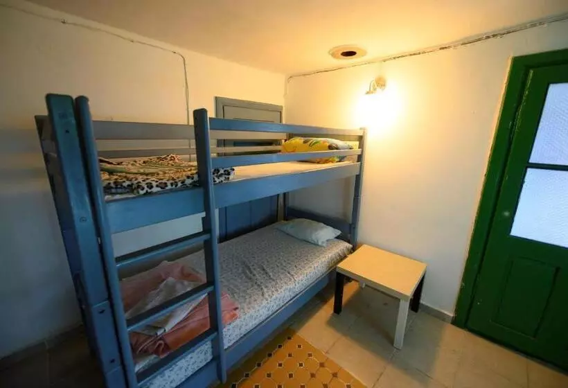 Danube Delta Hostel Homestay & Camping