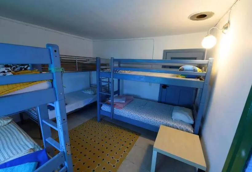 Danube Delta Hostel Homestay & Camping