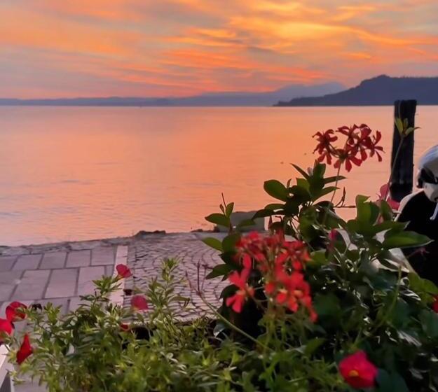 Le Panchette _ Pool & Bike