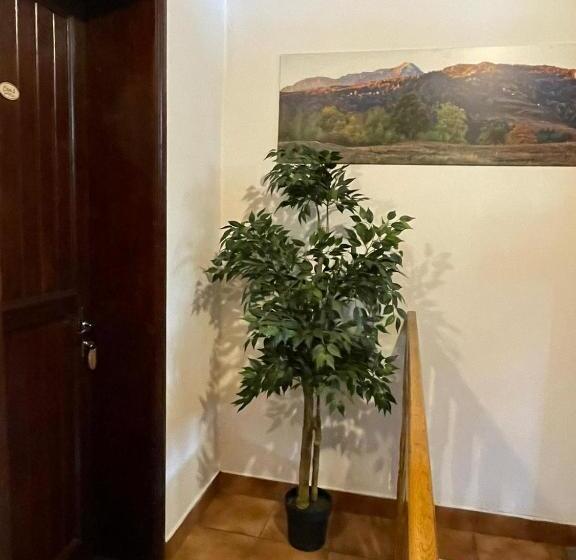 پانسیون Vila Sofia