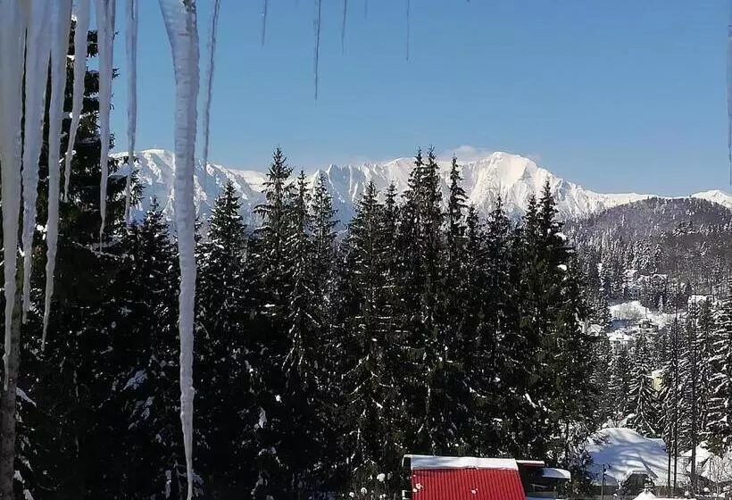 ペンション Vila Sofia