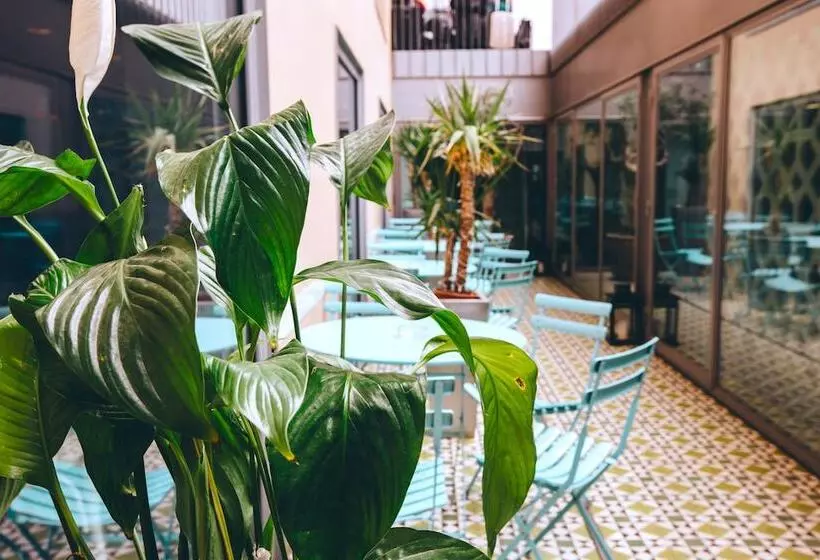 Auberge Hôtelière St Christopher's Inn Barcelona