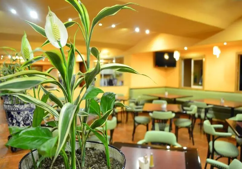 Hotel Mision Orizaba