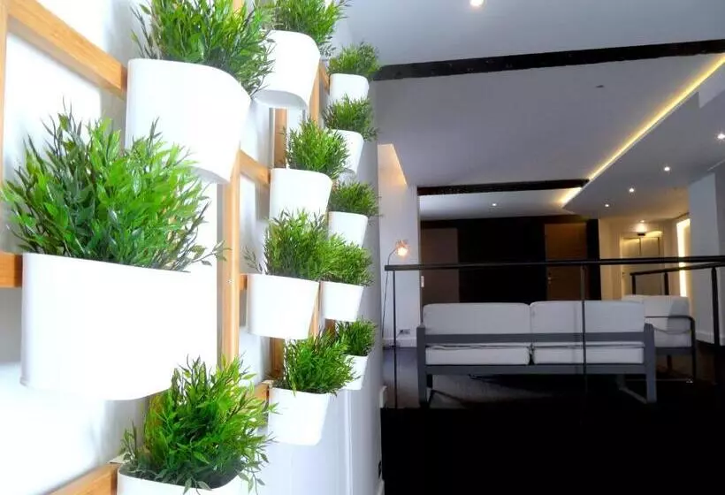 تختخواب و صبحانه Studio Luxe Hyper Centre Piscine