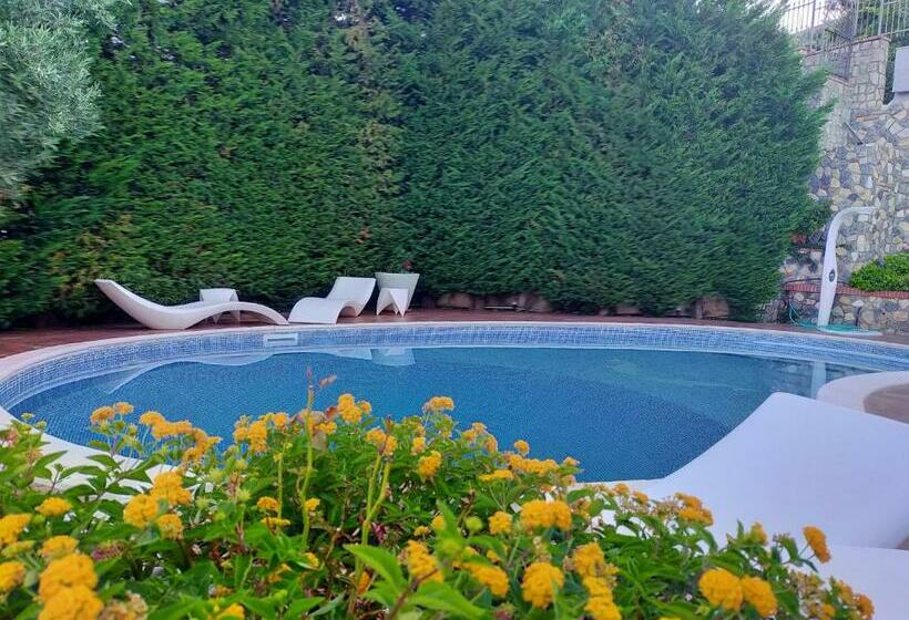 צימר Villa Fontana Saia