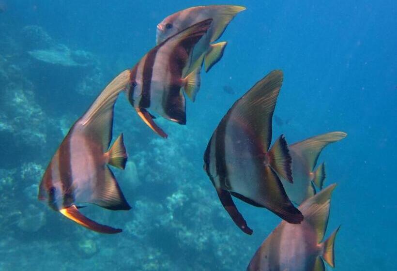 ペンション Galang Kangin Bungalows 2