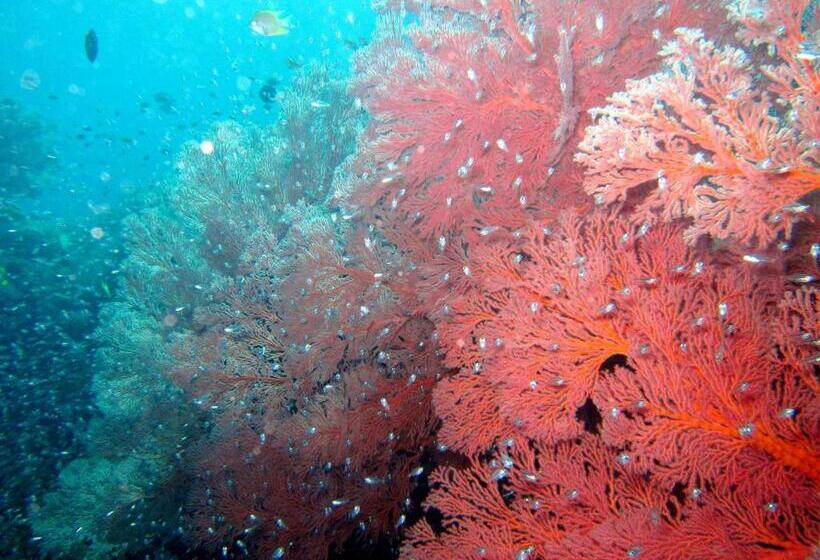 ペンション Galang Kangin Bungalows 2