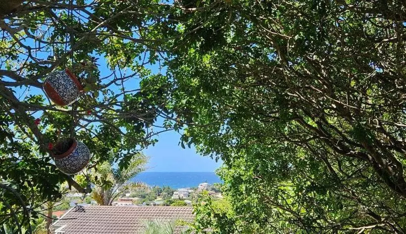 ペンション The Holliday Pad