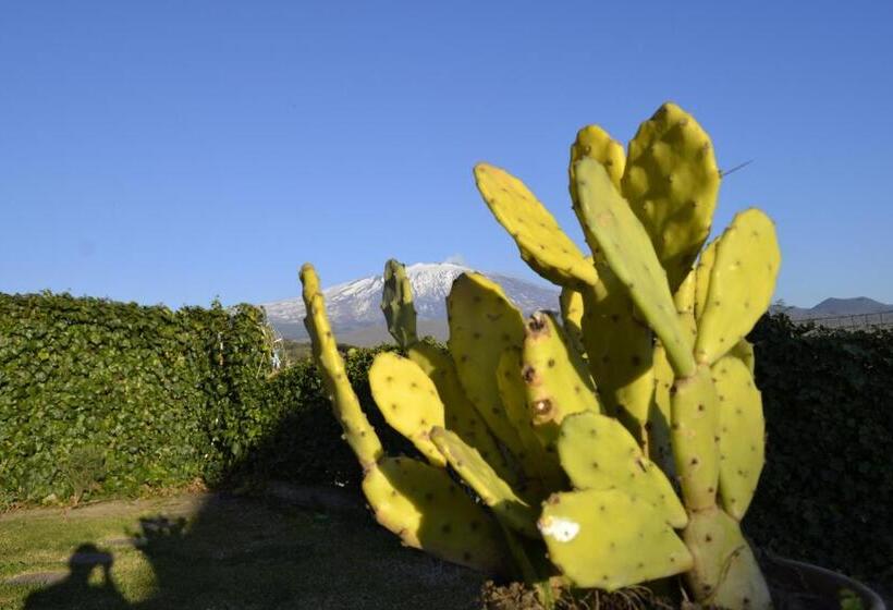 مبيت وإفطار Good Morning Etna