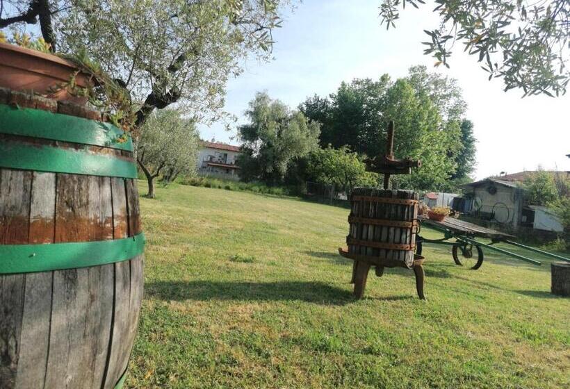 تختخواب و صبحانه Nonna Piera