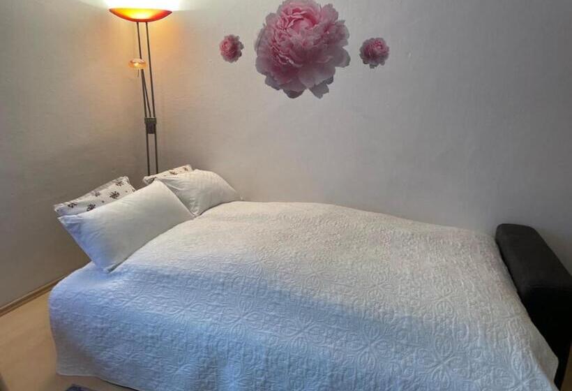 Ferienwohnungen Berg & See