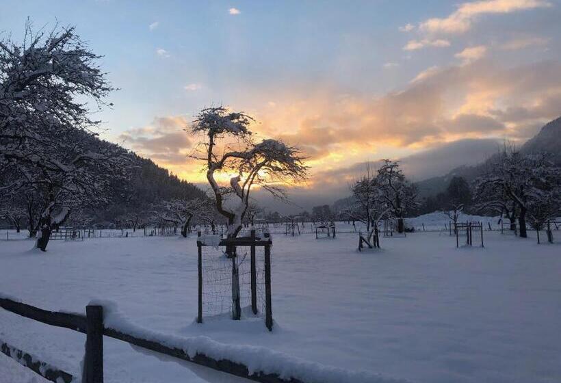 Ferienwohnungen Berg & See