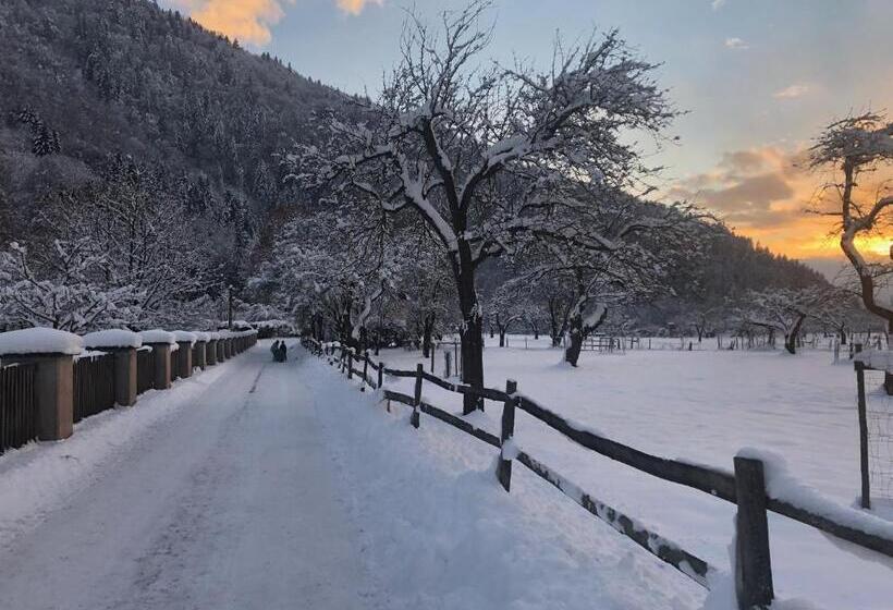 Ferienwohnungen Berg & See