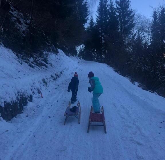 Ferienwohnungen Berg & See