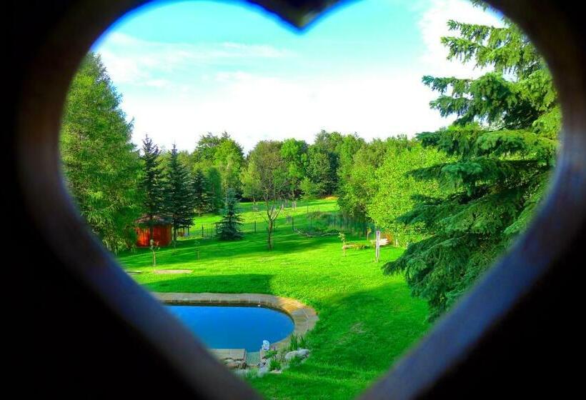 膳宿费 Guest House Sněžník