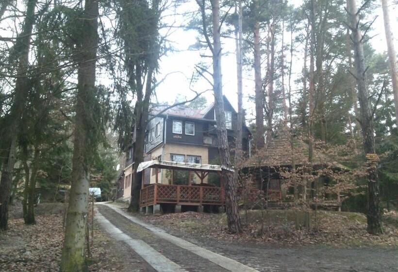 펜션 Penzion Mima V Kováčovej