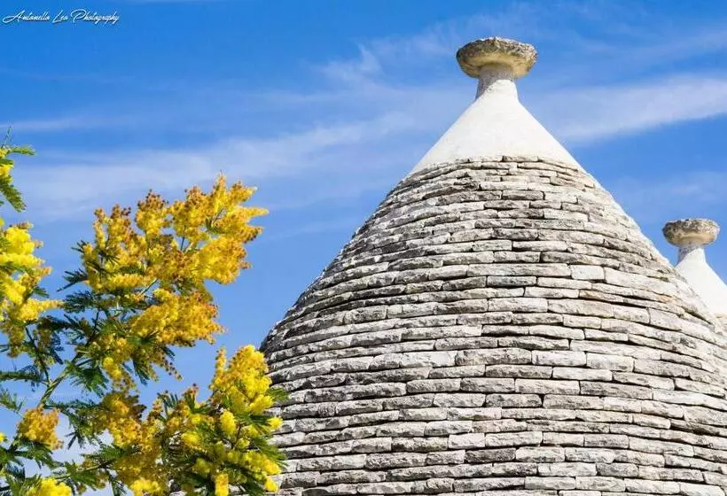 تختخواب و صبحانه Da Santino