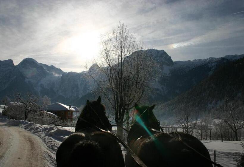 ホテル Schörghof