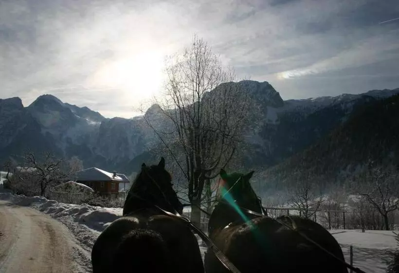 ホテル Schörghof