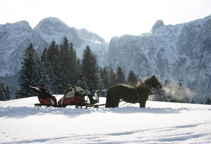 ホテル Schörghof