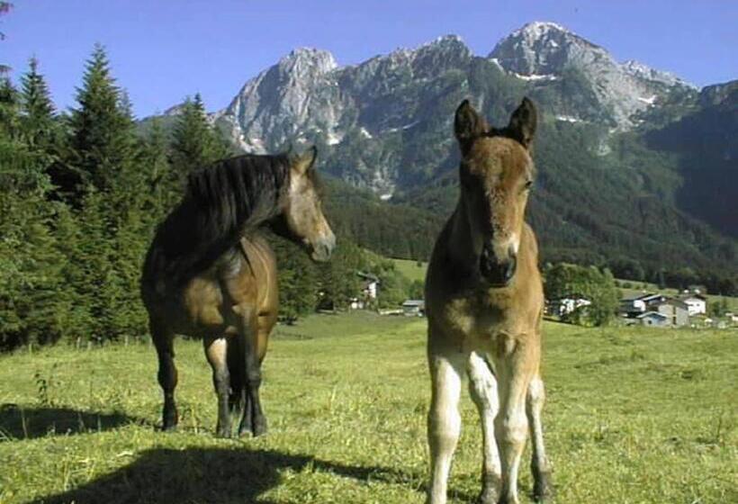 ホテル Schörghof