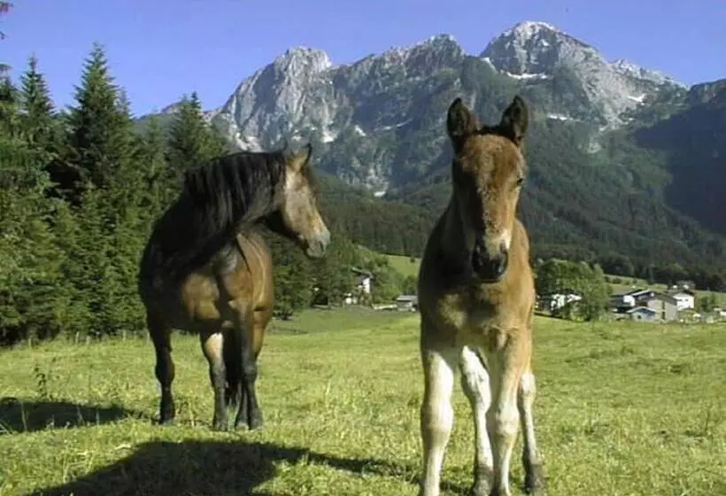 ホテル Schörghof