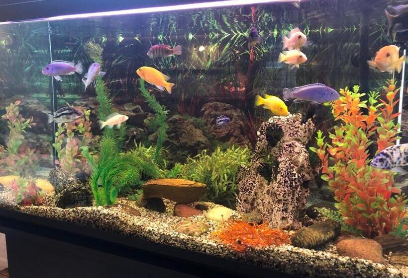 پانسیون Apartamentai Viktorija