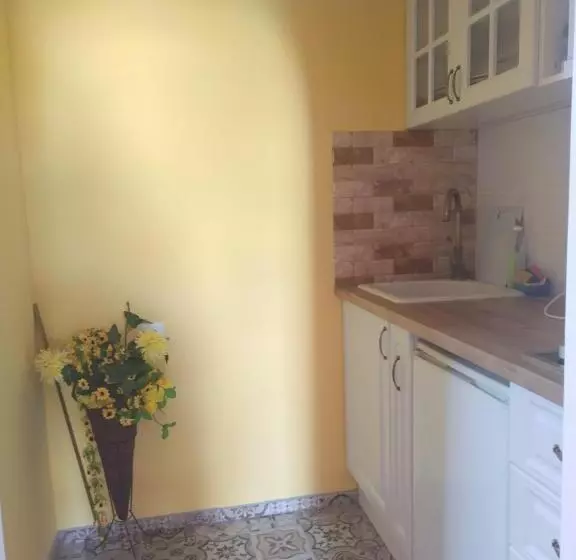 پانسیون Ivanka Guest House