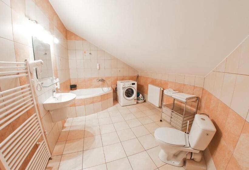 ペンション Penzion Modul