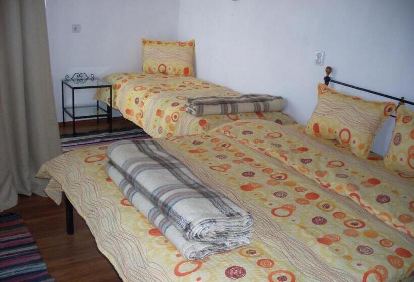 Pensjonat Tsutsovi House