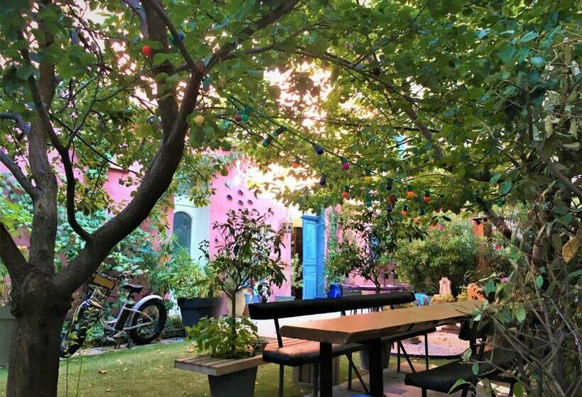 Pensiune Vieux Port Panier Jardin