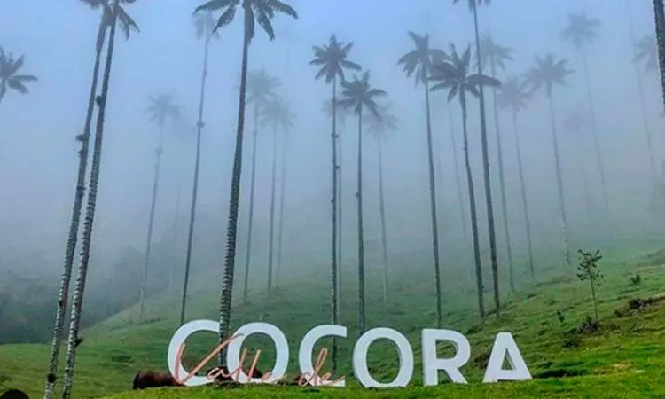 Aparta Hotel Turístico A 2 Km Parque Del Café