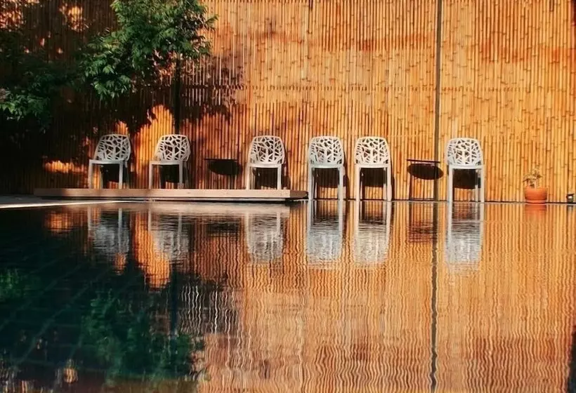 Hotelli Sand Dollar Boutique