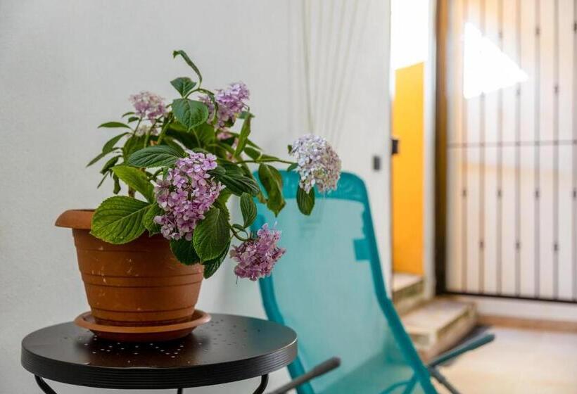 Taverna Albachiara 49 B