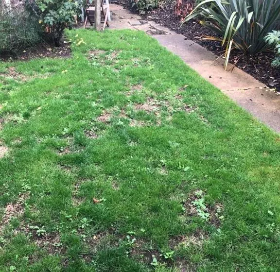 Unique One Bed Contemporary Bungalow Town Centre