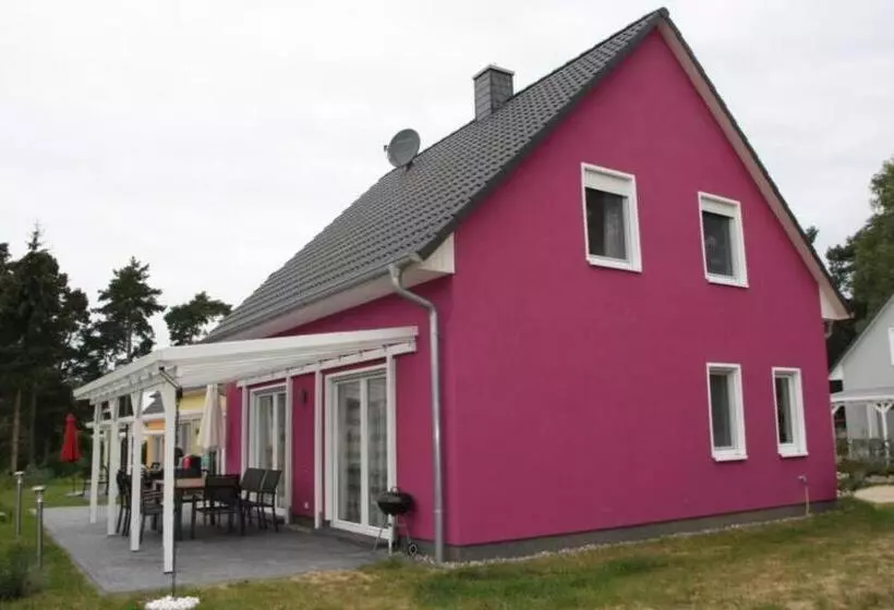 K 95   Modernes Ferienhaus Mit Kamin In Roebel An Der Mueritz