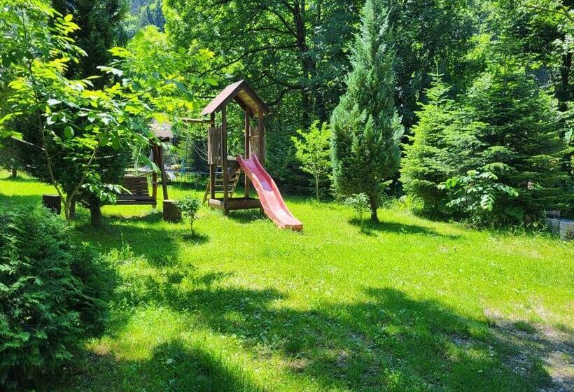 פנסיון Vila Brandusa