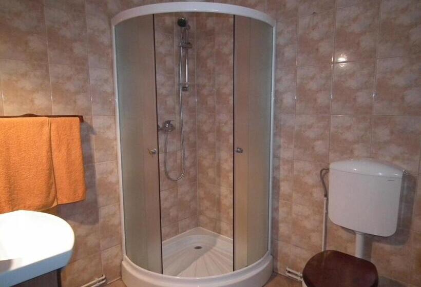 פנסיון Vila Brandusa