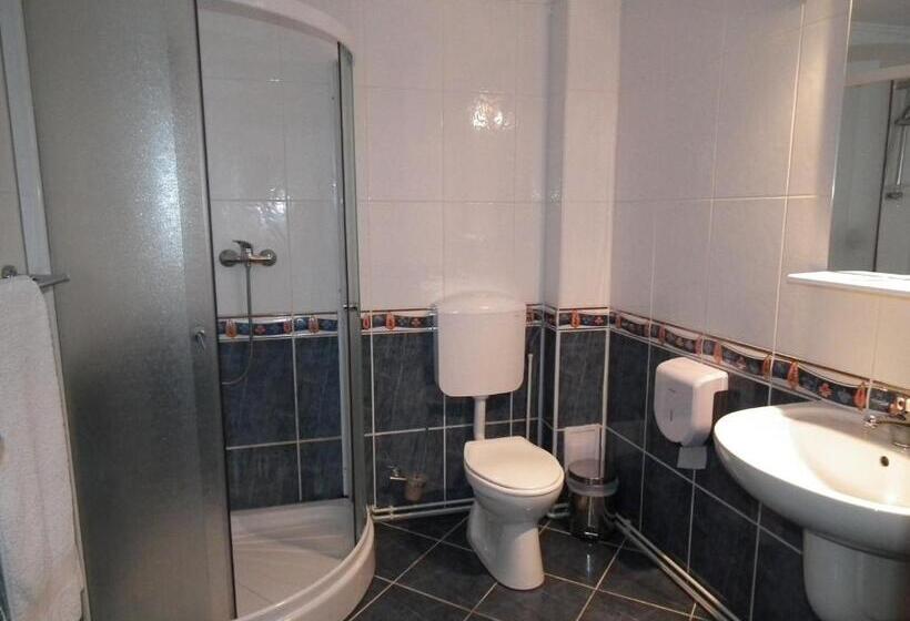 פנסיון Vila Brandusa