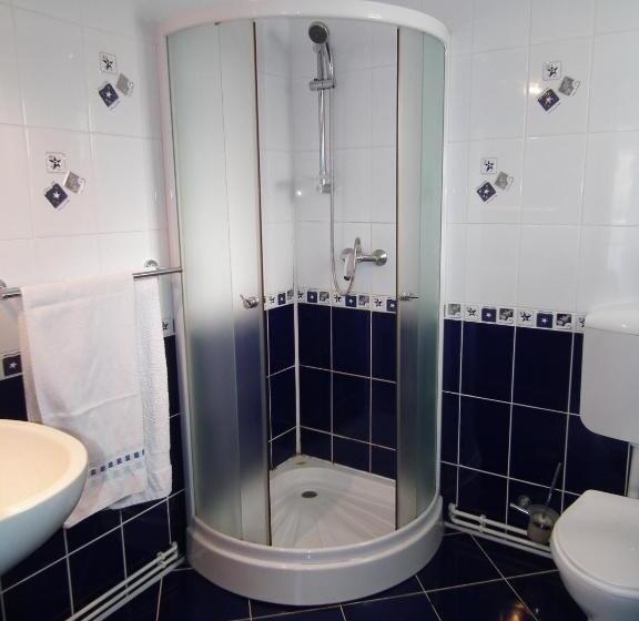 פנסיון Vila Brandusa