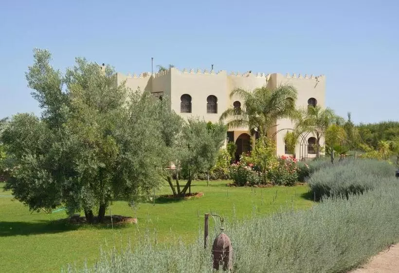 Riad Le Ksar De Fes
