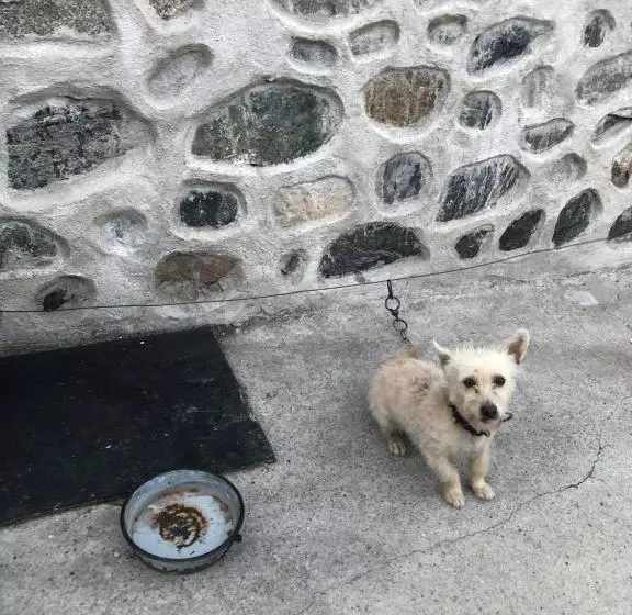 Majatalo къща за гости градината