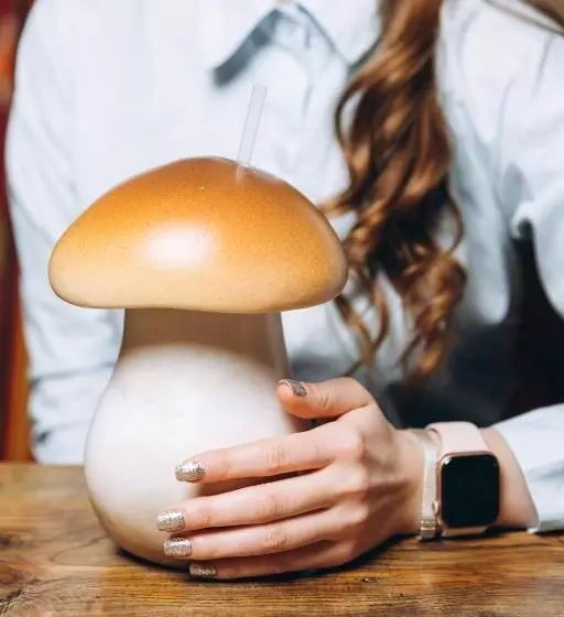 Retkeilymaja грибова хата