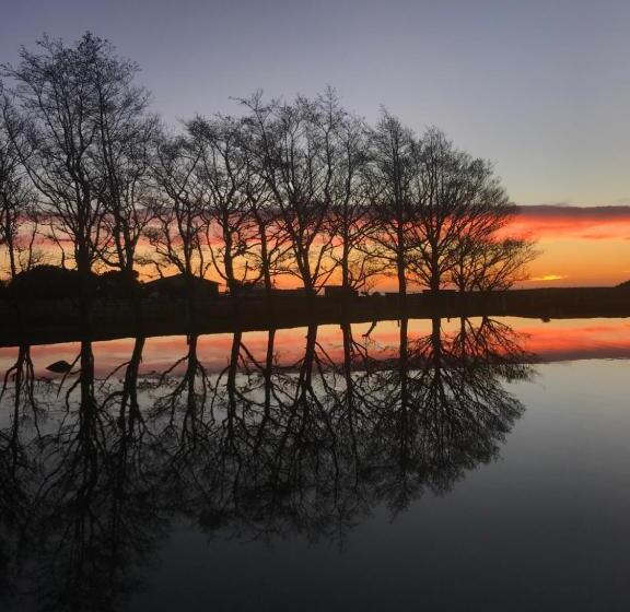 Общежитие Stations Inn