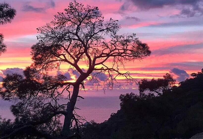 בית מלון כפרי The Fabric Lounge