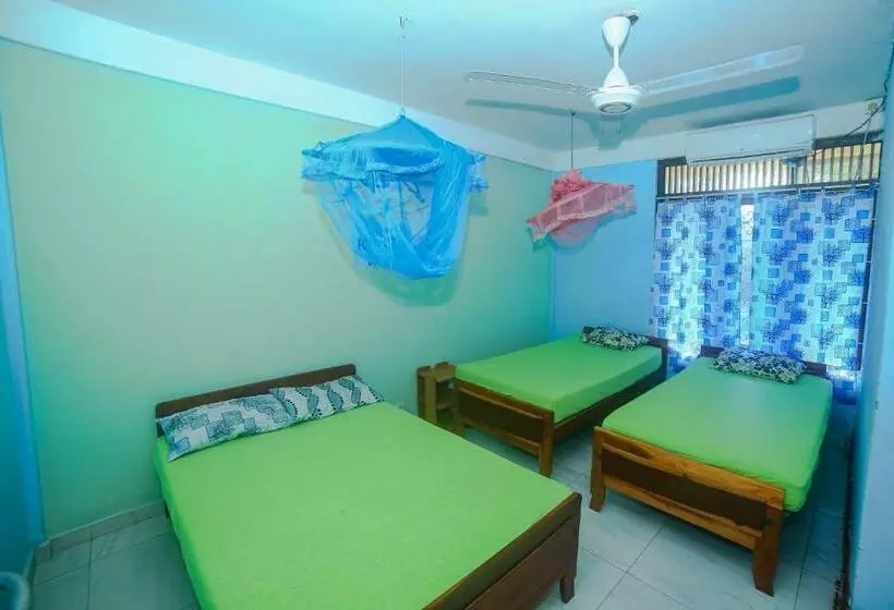 ペンション Tony S Garden House Back Packers Inn